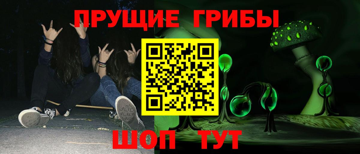 дарнет шоп  Вход с VPN  Ливны  Галлюциногенные грибы Psilocybine cubensis 