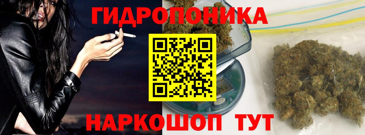 Шишки марихуана White Widow Ливны